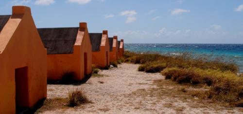 2013 Bonaire