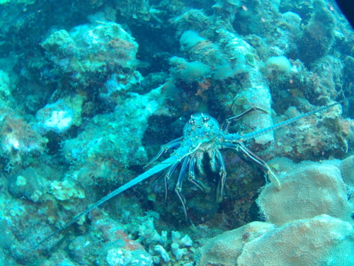 2017 Lanzarote